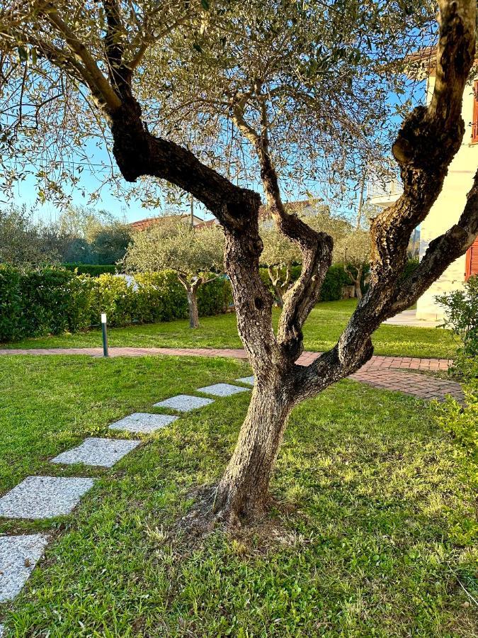 Abitatt Aparthotel Fosdinovo Bagian luar foto
